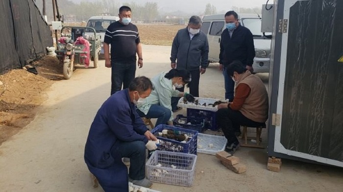 亿万先生MR(中国)首页官网