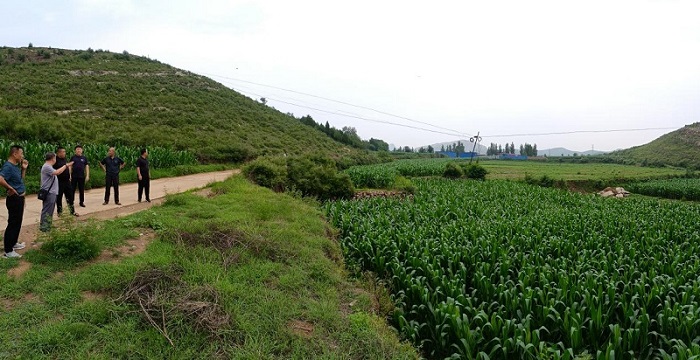 亿万先生MR(中国)首页官网