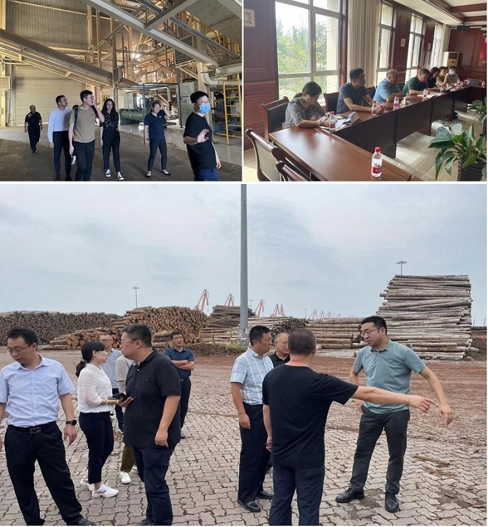 亿万先生MR(中国)首页官网