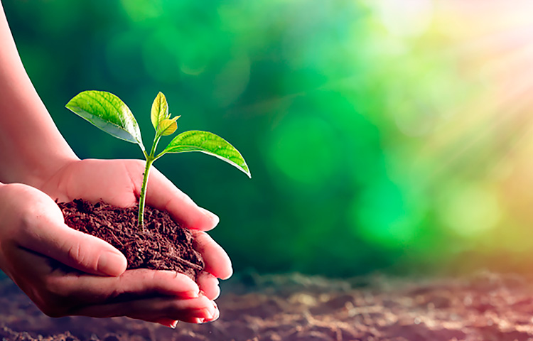 ����ͻ��-������κ�����_MG������Ϸ