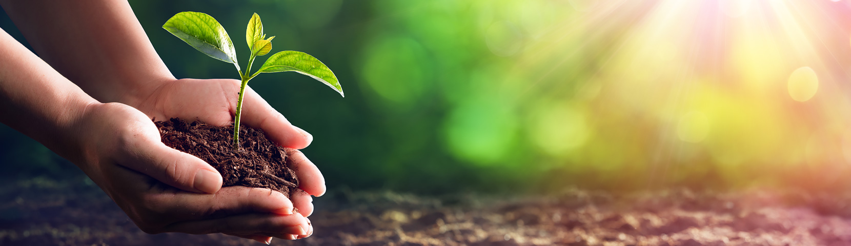 ����ͻ��-������κ�����_MG������Ϸ